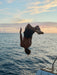 Person doing a backflip into the water at sunset