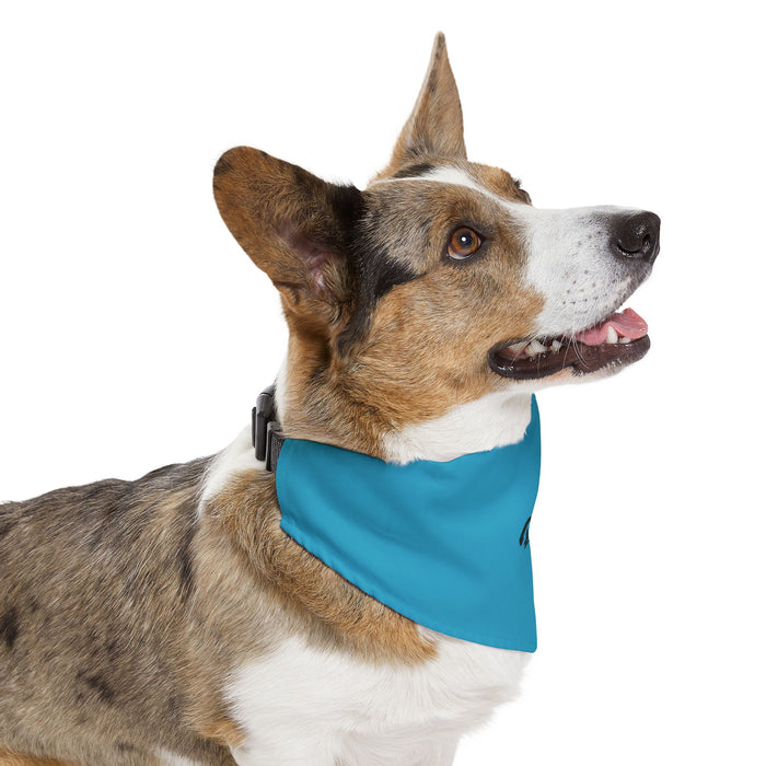 Big Sister Pet Bandana Collar - Blue Dog Collar Accessory