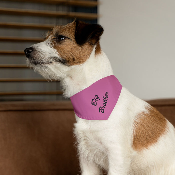 Big Brother Pet Bandana Collar - Pink Dog Collar Accessory