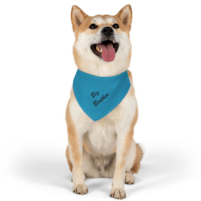 Big Brother Pet Bandana Collar - Blue Dog Collar Accessory