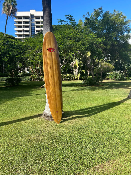Wood Surfboard in park off Waikiki Beach leaning against a palm tree