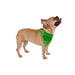 AI standing dog model wearing green bandana with a darker green four leaf clover or shamrock around its neck side view